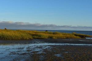 sterk wind blazen Aan de kust van orleans strand foto