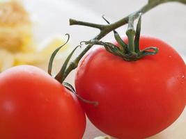 tomaten op de wijnstok foto