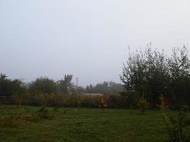 herfst ochtend- de nevel in de dorp foto