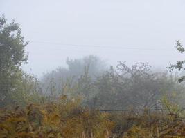 herfst ochtend- de nevel in de dorp foto