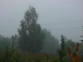 herfst ochtend- de nevel in de dorp foto