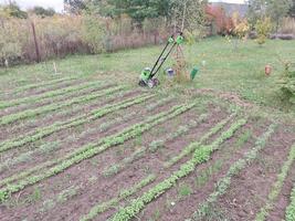 kyiv oblast, Oekraïne - oktober 02, 2022 teelt van bedden met een handleiding elektrisch cultivator foto