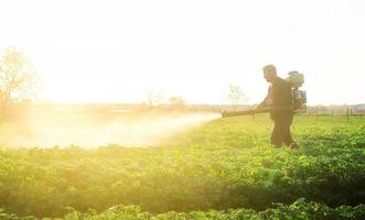 een boer sprays een oplossing van koper sulfaat Aan planten van aardappel struiken. gebruik Chemicaliën in landbouw. landbouw en agrarische sector, agrarisch industrie. strijd tegen schimmel infecties en insecten. foto