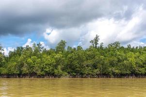 natuurlijk rivierlandschap foto