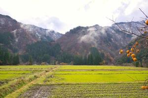 gokayama japan, rijk aan natuurlijke hulpbronnen, cultuur en erfgoed foto