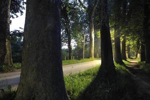 zonsopgang in mooi steegje foto