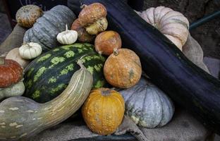 pompoenen in een markt foto