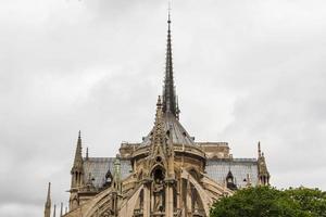 notre dame parijs foto