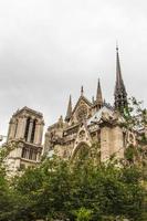 notre dame parijs foto