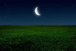 nacht in weide met voor de helft maan en sterren foto