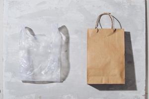 lelijk kleurrijk plastic zak vs bruin recyclebaar eco papier tas. verminderen, hergebruik en recycle concept. vlak leggen, visie van bovenstaande, geïsoleerd Aan wit foto