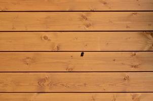 structuur van een oud hek van horizontaal oranje houten planken met bij zittend Aan hen foto