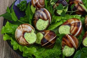 escargot Aan hout foto