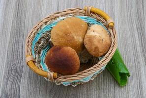 wild champignons Aan hout foto