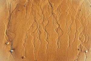 top schot foto van zee zand met terugwijkend Golf sporen