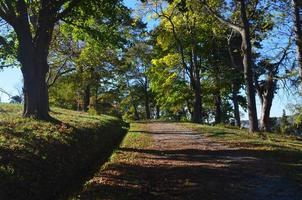 boeiend herfst vallen gebladerte Aan een durf spoor foto