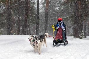 sledehondenraces. husky sledehonden team trekt een slee met hondenmusher. wintercompetitie. foto