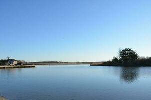 een meer of rivier- met bruin grassen en kust foto