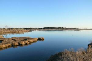 een meer of rivier- met bruin grassen en kust foto