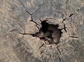 de oud hout structuur oppervlakte heeft gaten en scheuren. foto