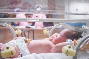 pasgeboren baby meisje binnen incubator in ziekenhuis post levering kamer foto