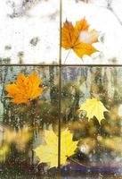 een geel droog esdoorn- blad zit vast naar de nat glas van de venster met regendruppels. herfst stemming, weer voorspelling foto