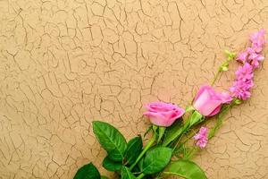een detailopname schot van mooi bloemen Aan een grunge achtergrond foto