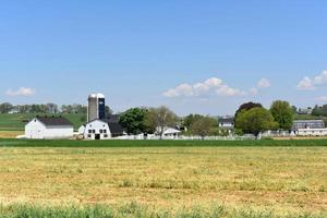 wit boerderij uit gebouwen Aan een boerderij in Pennsylvania foto