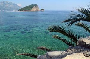 Montenegro, budva. zee visie. in de voorgrond is een foto van een palm boom.