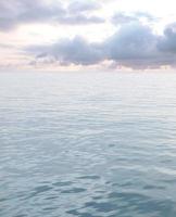 zee met golven en bewolkt lucht foto
