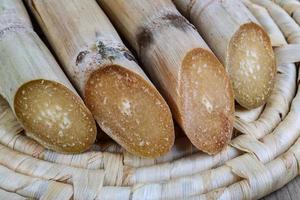 bamboe schiet Aan hout foto