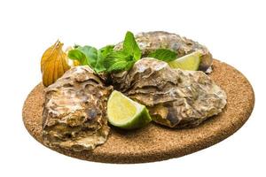 verse oester op wit foto