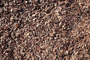 vol kader detailopname van bruin hakselhout gebruikt voor tuinieren en landschap decoratie. structuur van berk hakselhout schors voor tuin. detailopname van hout spaander pad aan het bedekken foto