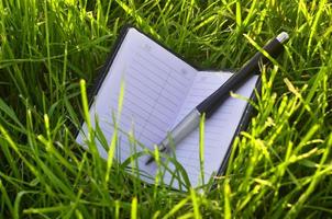 notitieboek met pen Aan groen gras foto
