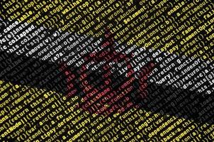 Brunei Darussalam vlag is afgebeeld Aan de scherm met de programma code. de concept van modern technologie en plaats ontwikkeling foto