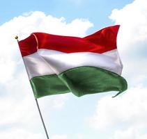 vlag van hongarije foto