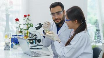 vrouw wetenschapper of apotheker en Mens professor op zoek voor ganja jonge boom Onderzoek test chemisch extract biotechnologie kruid blad alternatief geneeskunde wettelijk in boerderij agro laboratorium. foto