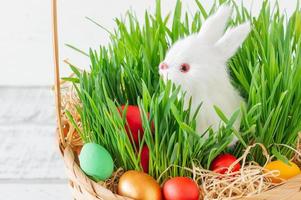 Pasen mand met groen gras gevulde met helder gekleurde Pasen eieren en wit weinig konijn. gelukkig Pasen. foto