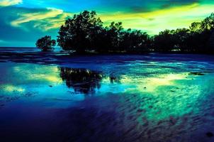Aurora mangrove in zonsondergang foto