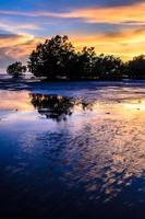 mangrove in zonsondergang foto