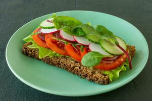 eigengemaakt veganistisch en vegetarisch boterhammen met tomaat, rooster radijs, komkommer en voorjaar uien. gezond ontbijt foto