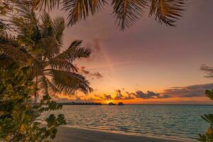 silhouet van palm bomen en zee horizon. mooi zonsondergang Aan de tropisch eiland kust strand achtergrond voor reizen in vakantie kom tot rust tijd. water villa's in Maldiven, exotisch vakantie. romantisch zonsopkomst foto