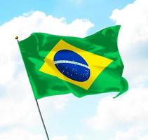 vlag van brazilië foto