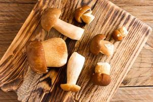 rauw Woud champignons Aan een houten land tafel. top visie. foto