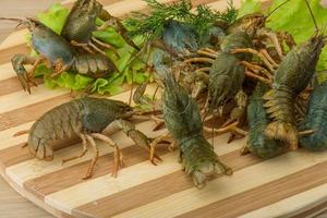 rauw rivierkreeft Aan houten bord en houten achtergrond foto