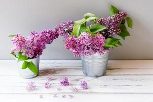 takken van voorjaar Purper seringen in emmers Aan een wit houten tafel. foto