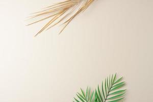 tropisch natuurlijk achtergrond met palm blad Aan pastel beige. vlak leggen, kopiëren ruimte foto