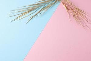 tropisch natuurlijk achtergrond met palm blad Aan blauw en roze. vlak leggen, kopiëren spac foto