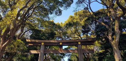 torii poort staand Bij de Ingang naar meiji jingu altaar iat harajuku stedelijk Woud, Tokio. foto