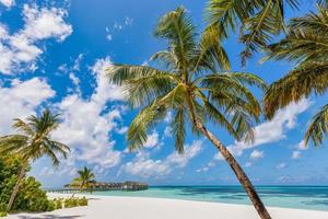 verbazingwekkend panorama landschap van Maldiven strand, palm zand. tropisch strand landschap zeegezicht, luxe water villa toevlucht houten steiger. mooi reizen bestemming voor zomer vakantie en vakantie concept foto